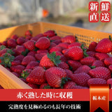 いちご 【小野崎農園】 とちあいか 大玉 Aサイズ 280g 8～12粒 ×4パック  1120g 栃木県　