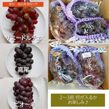 ぶどう 【佐藤果樹園】 赤黒ぶどう２～3種 1.5kg以上 ２～３房 贈答用 福島県 《9/下旬~10/上旬出荷》