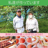 桃 【佐藤幸男農園】 もも 川中島 3kg 9～12個 贈答用 プレゼント福島県 《8/中旬～8/下旬の出荷》