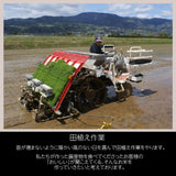 米 【蓬田】 こしひかり プレミアム米 白米 精米 お試し3合 特別栽培米 ポスト投函 福島県桑折町 プレミアムライセンスクラブ ベストファーマー認定 コシヒカリ コメ 福島県産