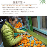 みかん 【みかん屋かみん】10kg サイズ不揃い 家庭用 静岡県浜松市 《11/上旬～中旬より出荷》