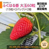 【ふるや農園】福島生まれの苺　ふくはる香　大玉60粒(15粒×4パック)　翌日配送エリア限定　福島