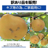 【 箭内厳雄果樹園 】梨 訳あり 家庭用 3kg　7～10玉　福島県 須賀川市