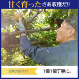 梨 【長田果樹園】 和梨 ５kg ご家庭用 訳あり S以上 18～22個 福島県 《9月中旬の出荷》