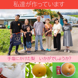 梨 【 乙連沢梨園 】大きい にっこり  1.8kg (900g×2個) 贈答用 プレゼント 栃木県  《10/中旬～10/下旬より出荷》