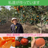 柿 甘柿 【フルーツファームいしくら】 富有柿 皇室献上の味 広瀬の柿 約2㎏ 小 12～15個 ご家庭用 山梨県笛吹市 種なし かき《10/下旬～11/上旬の出荷》