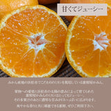 みかん 【みかん屋かみん】4kg サイズ不揃い 家庭用 静岡県浜松市 《11/上旬～中旬より出荷》