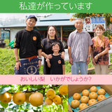 梨 【 乙連沢梨園 】 3kg 5～７個 贈答用 プレゼント 栃木県《9/上旬〜9/中旬より出荷》