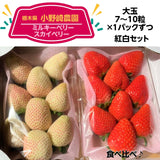【小野崎農園】ミルキーベリー/スカイベリー　食べ比べ紅白ミックスセット　大玉1パックずつ　約600g　栃木県