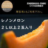 メロン 【OTM出荷組合】 レノン 2L 2玉 糖度15度以上 贈答用 茨城県鉾田市 《5/中旬～5/下旬より出荷》