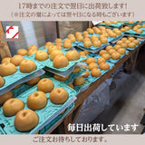 梨 【 乙連沢梨園 】大きい にっこり  4.5kg (900g×5個) 贈答用 プレゼント 栃木県 《10/中旬～10/下旬より出荷》