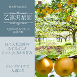 梨 【 乙連沢梨園 】大きい にっこり  4.5kg (900g×5個) 贈答用 プレゼント 栃木県 《10/中旬～10/下旬より出荷》