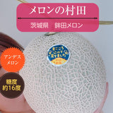 メロン 【メロンの村田】 アンデスメロン 4玉 3L 糖度16前後 贈答用 母の日 茨城県鉾田市 《5/上旬～5/中旬より出荷》
