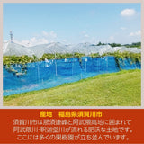 ぶどう 【佐藤果樹園】 赤黒ぶどう２～3種 1.5kg以上 ２～３房 贈答用 福島県 《9/下旬~10/上旬出荷》