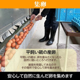 平飼い卵 【こころんファーム養鶏場】 卵 たまご ここたま 50個 朝取 M L LL サイズ混合 3.5kg JGAP 自家配合飼料 地下水 福島県 平飼