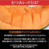 メロン 【方波見農園】 むつみレッド イバラキング クインシー  タカミ タカミレッド どれか1種 3L以上 1玉 1.2~1.4kg 糖度16度以上 贈答用 茨城県鉾田市 母の日 父の日 《5/上旬～5/中旬より出荷》