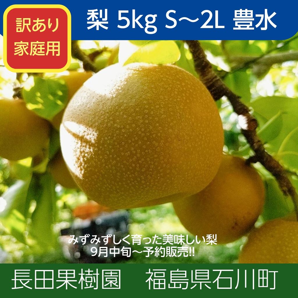 梨 【長田果樹園】 和梨 ５kg ご家庭用 訳あり S以上 18～22個 福島県 《9月中旬の出荷》