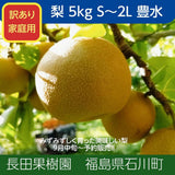 梨 【長田果樹園】 和梨 ５kg ご家庭用 訳あり S以上 18～22個 福島県 《9月中旬の出荷》