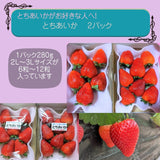 いちご 【やいた里山いちご園】苺 とちあいか 大玉 280g×2パック 栃木県矢板市 《1/上旬～出荷開始》