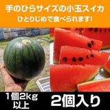 スイカ 小玉スイカ 【高橋農園】ひとりじめBONBON ２玉 4〜5kg 秀 尾花沢 贈答用 山形県  ひとりじめボンボン《7/中旬〜7/下旬より出荷》