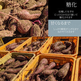 【藤田ファーム】 干し芋 丸干し 4kg (800g×5袋) 天日干し 茨城県