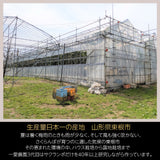 さくらんぼ 【一愛農園】 佐藤錦 1kg 秀 ２L  山形県東根市《6/中旬～6/下旬の出荷》