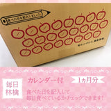 りんご 【ひかりグループ】 小玉リンゴ 毎日ちびリンゴ 1ヵ月分チェックシート付 サンふじ 約5kg 24個 山形県 《12/上旬～12/中旬より出荷》