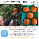 柿 甘柿 【フルーツファームいしくら】希少 太雅 たいが 約2kg 2L以上 5個 山梨県笛吹市 種なし かき《11/上旬～11/中旬の出荷》