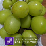 【ﾌﾙｰﾂﾌｧｰﾑいしくら】ぶどう 染みあり シャインマスカット 2房 大房 1.4kg ご家庭用 高糖度 山梨県
