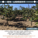 柿 甘柿 【フルーツファームいしくら】 富有柿 皇室献上の味 広瀬の柿 約2㎏ 小 12～15個 ご家庭用 山梨県笛吹市 種なし かき《10/下旬～11/上旬の出荷》