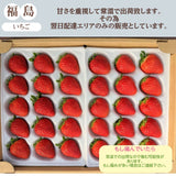 【ふるや農園】苺　よつぼし　大玉60粒(15粒×4パック)　翌日配送エリア限定　福島県