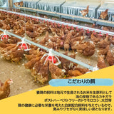 平飼い卵 【こころんファーム養鶏場】 卵 たまご ここたま 30個 朝取 M L LL サイズ混合 2.1kg JGAP 自家配合飼料 地下水 福島県 平飼