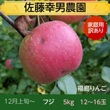 りんご　5ｋｇ フジ　Ｌサイズ12～16玉　家庭用・訳あり　福島県