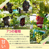 ぶどう 【大山果樹園】 葡萄 詰め合わせ ぶどう三昧セット（ シャインマスカット 入り） ４～６種類 約2kg 山形県 フルーツ 果物 《9/中旬～9/下旬より出荷》 敬老の日