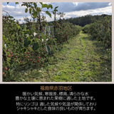 【長田果樹園】りんご サンふじ　約10kg 　中玉36個 　赤秀　家庭用　福島県石川町