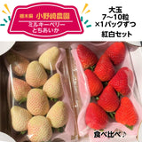 いちご 【小野崎農園】ミルキーベリー/とちあいか 食べ比べ紅白ミックスセット 大玉1パックずつ 約600g 栃木県