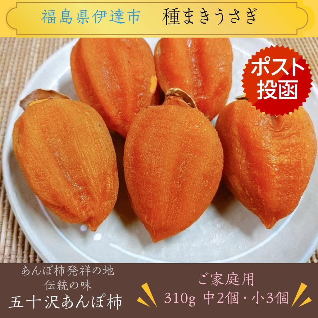 干し柿 【種まきうさぎ】 五十沢 あんぽ柿 310g 家族セット(中2個・小3個) 家庭用 ポスト投函 福島県伊達 《1/中旬より出荷》