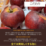 りんご 【ニジイロ果樹園】蜜入 こうみつ 3kg 8～10個 山形県天童市 リンゴ 林檎 《12/7頃～12/中旬の出荷》
