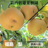 【 箭内厳雄果樹園 】梨 訳あり 家庭用 5kg　10～16玉　福島県 須賀川市
